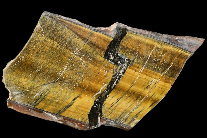 Polished Tiger's Eye Slab - South Africa #109270